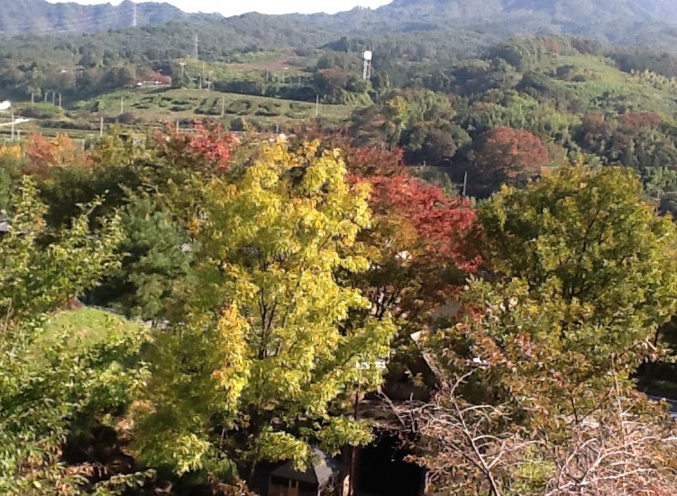 みなかみ紅葉_木