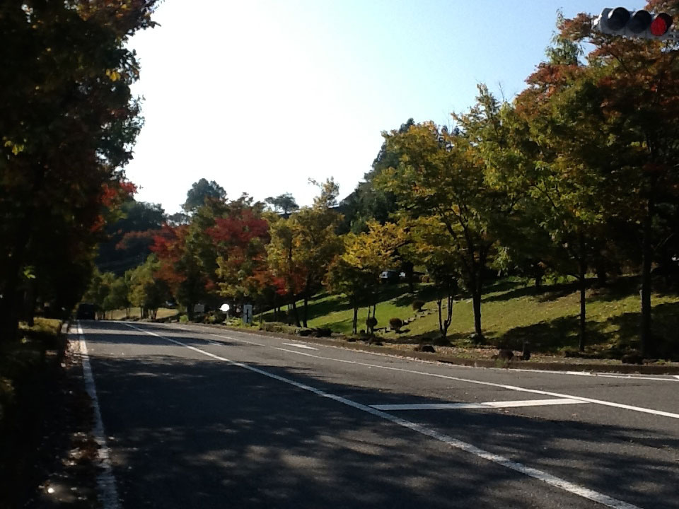 みなかみ紅葉_ハーベスト