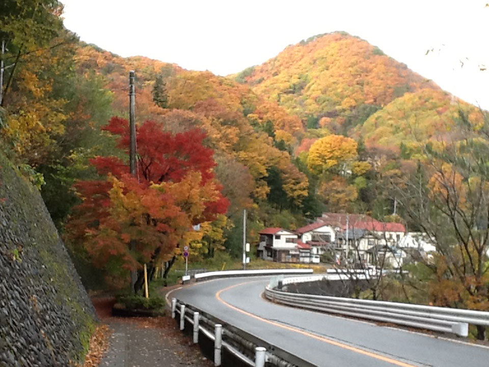 紅葉_山