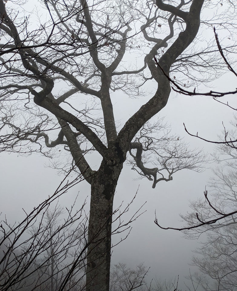 谷川岳登山_4